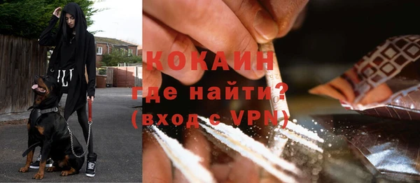 шишки Богородск