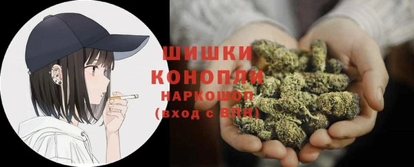 шишки Богородск