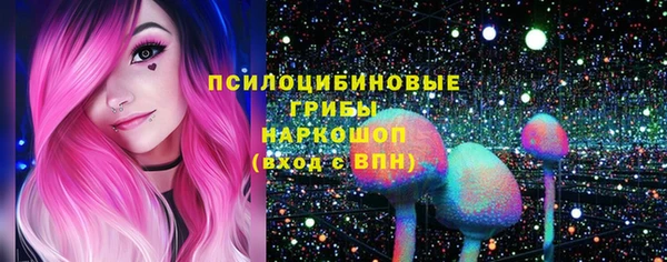 гидропоника Богданович