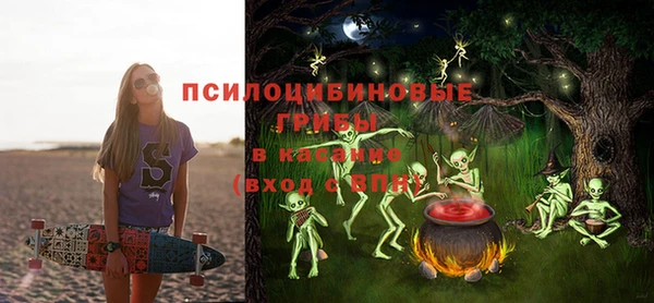 кокс Богородицк