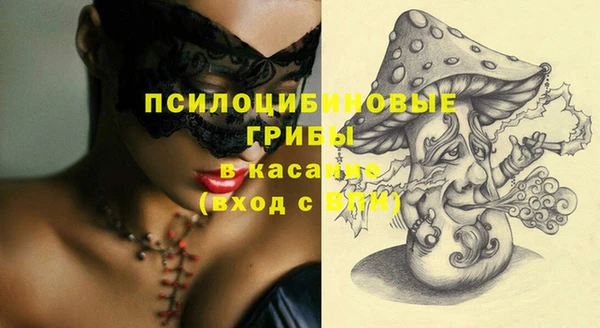 гидропоника Богданович