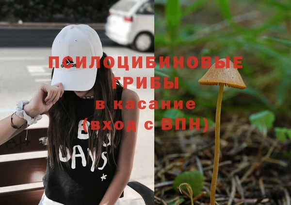 гидропоника Богданович