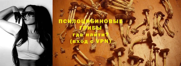 шишки Богородск